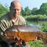 Matt Stevens (@matt177stevens) 's Twitter Profile