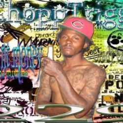 Artist, Artist and Graphic designer