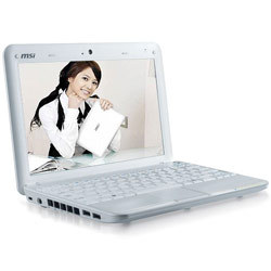 I'm a netbook fan because they are super portable and have a good battery life. :)