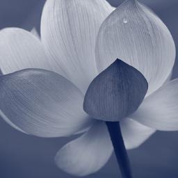 Always do your best. What you plant now, you will harvest later.