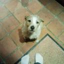 GAIL PETERSEN - @GAILPETERSEN1 - Twitter