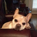 Greg Fetzer - @greg_fetzer - Twitter