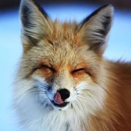 I'm a student. :) I like animals, movies, music, games, books, photo and nature.