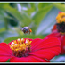 Ramanan Venkata (@arve_bee) Twitter profile photo Ramanan Venkata (@arve_bee) Twitter profile photo