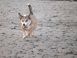 Ericthegorgeous's profile picture. 