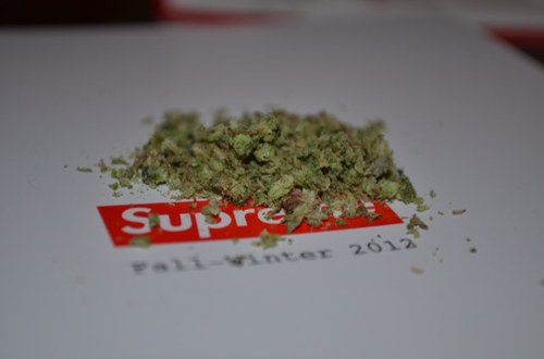 The stoner crew official page, we tweet our highdeas, Get high follow and laugh your ass off #fssa