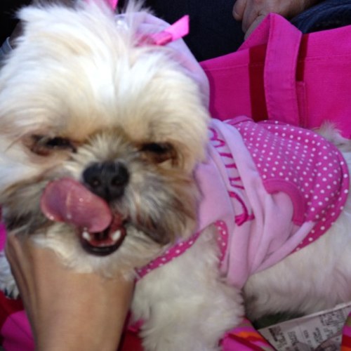 ckrose8381's profile picture. 