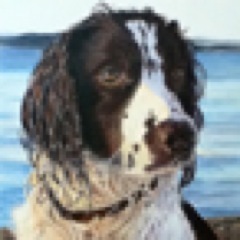 T1 Diabetic -48years. Deaf from Otosclerosis -both ears. Ex Pet Portrait artist - now working at Tesco.