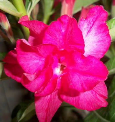 Blogtime4us's profile picture. Hey i have a blog! Check it out please!
http://t.co/2hjhEOWS