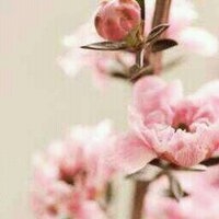 معاً نحو الجنة (@janan_10) Twitter profile photo