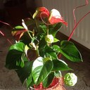 karin unger - @karinunger37 - Twitter