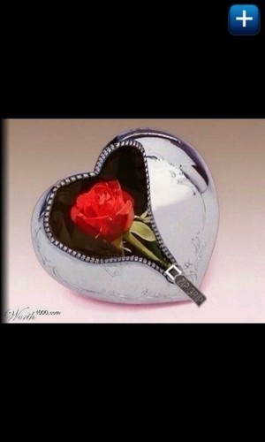 shnool173's profile picture. 