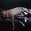 Mike Coates - @17mcoates40 - Twitter