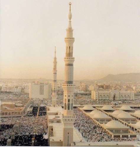 الصدق والجديه مهمه للتواصل وات  مسيار ومعلن