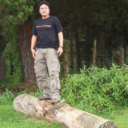 Economista, técnico especialista en costos.