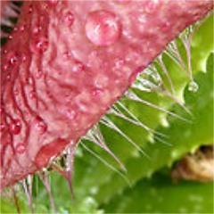 Psychoticmeier's profile picture. Hi, Im a translator putting IT documents from English into Japanese. My former job is a Web developer and programmer. Sometimes I draw a picture.