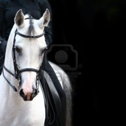 hanane_bouq's profile picture. 