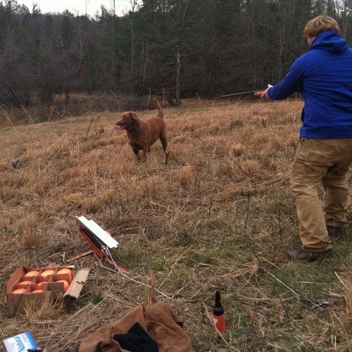 DelayRob's profile picture. 