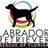 FLKeysLabRescue's profile image
