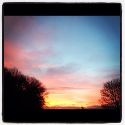 DozenOatcakes's profile picture. jog on .... silly b*ll*ck$