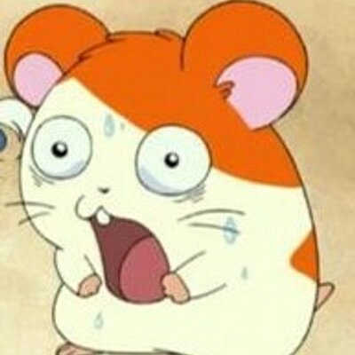 人間になりたいハム太郎 Ningenhamtaro Twitter 人間になりたいハム太郎 Ningenhamtaro Twitter