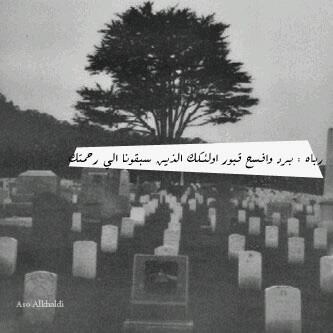 3weesh_z's profile picture. 