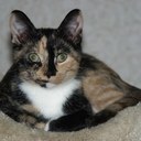 Nancy Schwall - @nancy_schwall - Twitter