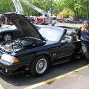 elise harrison - @isabellamcinhae - Twitter