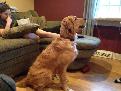 chrissyaab's profile picture. I love my amazing daughter Amanda❤️