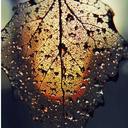 Patricia Castro - @Patty_Castro_ - Twitter