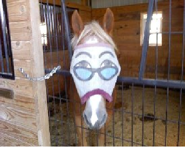 Publications and Gifts for Equine Enthusiasts.  On FB at The Mane Scoop. 10% of sales are donated. Visit us online for causes we support.
