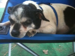 dwtsn4's profile picture. 