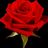 مروان الرافد's Twitter (X) avatar