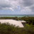 rourkas_atlarge's profile image