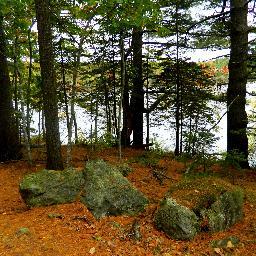 Sharing the natural wonder of Down East, Acadia & Schoodic Maine with the rest of the world.