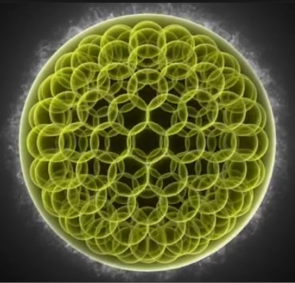 Paknjang's profile picture. Events do not have meanings. Events are events, and meanings are thoughts. Nothing has any meaning save the meaning you give it.