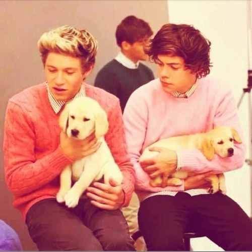 VaycayWithNarry's profile picture. I'm either sleeping or over reacting idk.