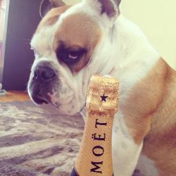 nastyspill's profile picture. long time listener, first time caller