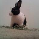 Jessica Clanton - @LILO_JessClan - Twitter