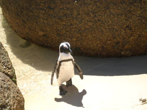 Astronaudts's profile picture. Belgium born living and working in Ireland