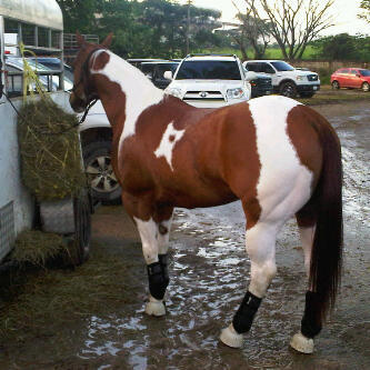 orlamaular's profile picture. 