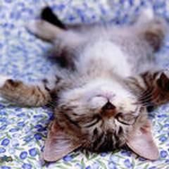 remsteks's profile picture. 