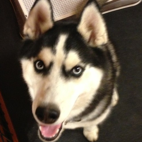 Makiku00's profile picture. 