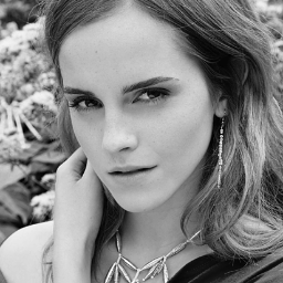 Hello, I'm Hermione. I work at the Ministry as a liaison between wizards and elves. It's mostly paperwork. But important paperwork. (OOC in DMs only)