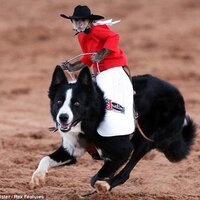 El Mono Vaquero (@ramuse78) 's Twitter Profile Photo