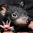 malbrown2's profile image