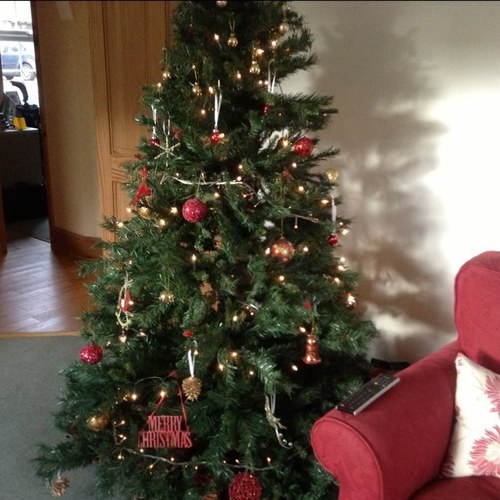 harrybrown02's profile picture. Just a nice guy really