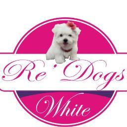 LEVANDO ALEGRIA, REALIZANDO SONHOS…

  11  2651-4500  /  9 8328-8571
Criadora:Renata