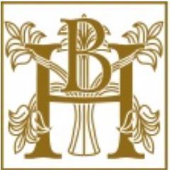 vitanova_news's profile picture. 