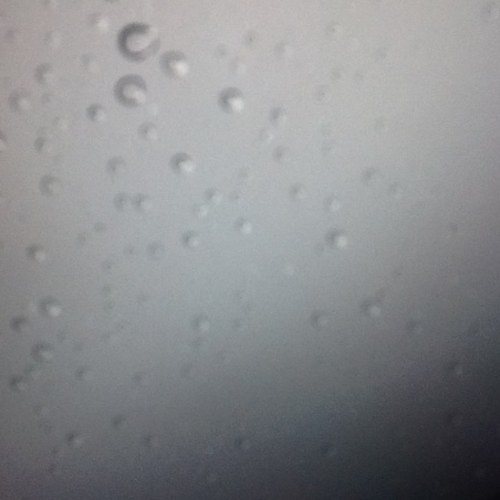 adham0306's profile picture. 